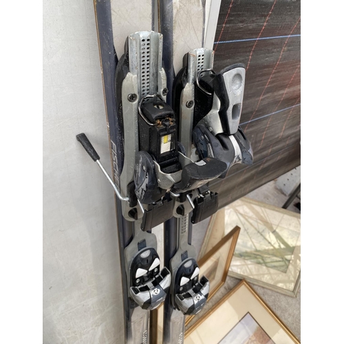 1439 - A PAIR OF CARVE PRO FISCHER SKIS