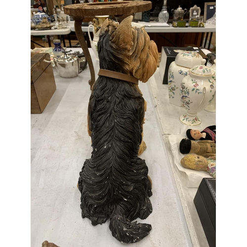 155 - A LEONARDO LARGE RESIN MODEL OF A YORKSHIRE TERRIER HEIGHT 32CM