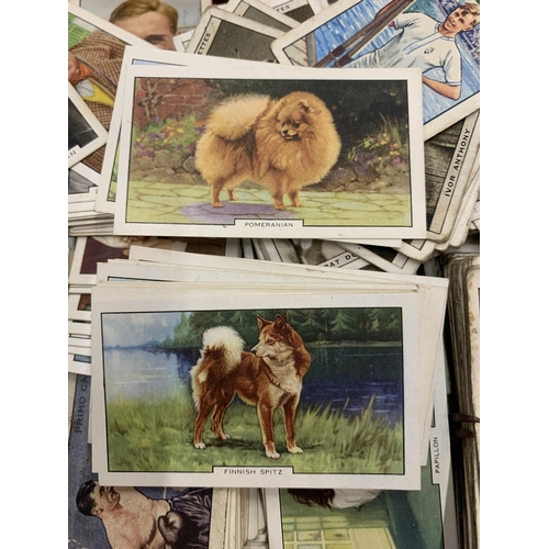 158 - A LARGE COLLECTION OF CIGARETTE CARDS TO INCLUDE HOUSEHOLD HINTS, DOGS, SPORTING, ETC