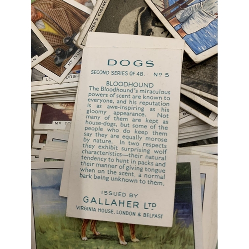 158 - A LARGE COLLECTION OF CIGARETTE CARDS TO INCLUDE HOUSEHOLD HINTS, DOGS, SPORTING, ETC