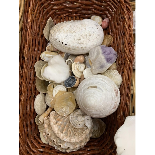 187 - A COLLECTION OF SEASHELLS, A LARGE PIECE OF AMETHYST, SCARAB BEETLE SEAL, ETC