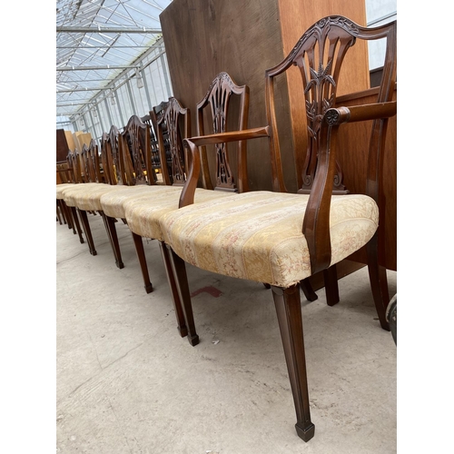 2464 - A SET OF TEN HEPPLEWHITE STYLE MAHOGANY DINING CHAIRS, TWO BEING CARVERS, ON TAPERED LEGS, WITH SPAD... 