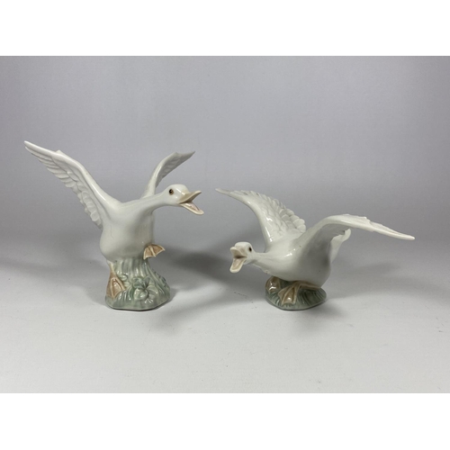 752 - TWO LLADRO LYING DUCK FIGURES INCLUDING NO. 1265