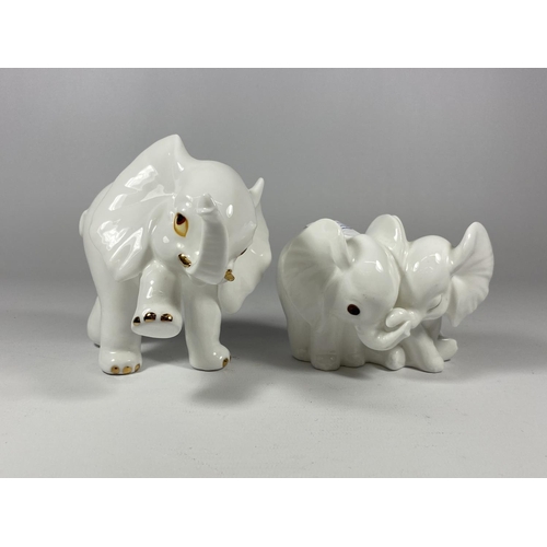 774 - TWO ROYAL OSBOURNE WHITE CERAMIC ELEPHANT MODELS