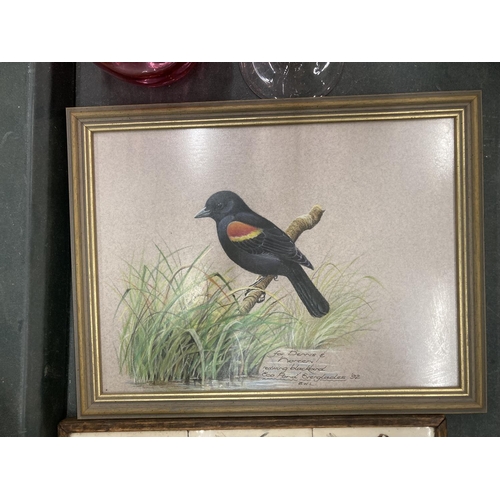 294 - A FRAMED TILE OF A REDWING BLACKBIRD AND SIX FURTHER TILES IN A FRAME