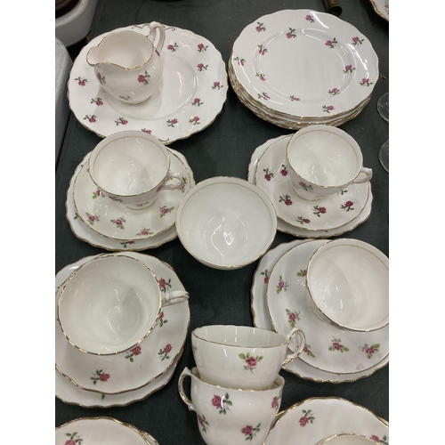 298 - A COLCLOUGH TEASET TO INCLUDE CUPS, SAUCERS, CAKE PLATE, MILK AND SUGAR ETC