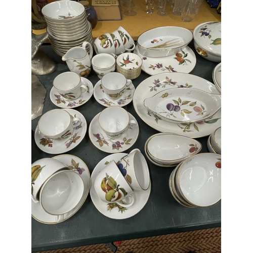 877 - A ROYAL WORCESTER 'EVESHAM' PART DINNER SERVICE TO INCLUDE PLATES, CUPS, SAUCERS, AVOCADO BOWLS, SER... 