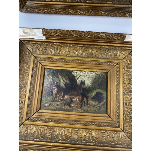 456 - A PAIR OF GILT FRAMED OILS ON BOARD DEPICTING DOGS & FOXES, BELIEVED HENRY ALKEN, 32 X 27CM