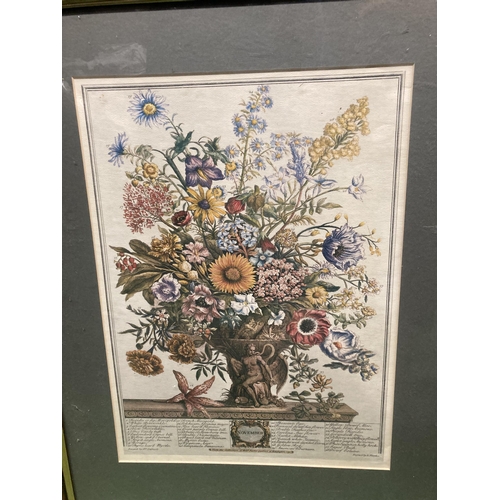 1161 - A FRAMED PRINT DEPICTING FLOWERS