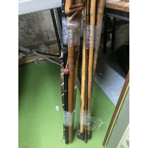 1162 - A COLLECTION OF WOODEN WALKING STICKS TOGETHER WITH A RAIN SHAKER AND UMBRELLA