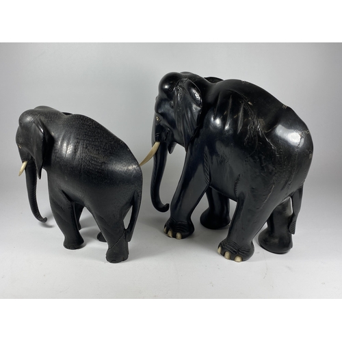 355 - TWO LARGE ANTIQUE EBONY ELEPHANTS, HEIGHT 26CM