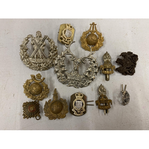 469 - A COLLECTION OF BRITISH ARMY BADGES, TO INCLUDE ROYAL MARINES ETC