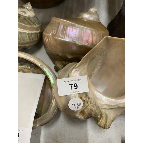 79 - A COLLECTION OF ASSORTED MOTHER OF PEARL SHELLS