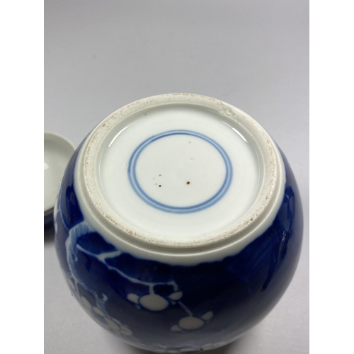 388 - A CHINESE PRUNUS PATTERN GINGER JAR, DOUBLE RING MARK TO BASE, HEIGHT 15CM