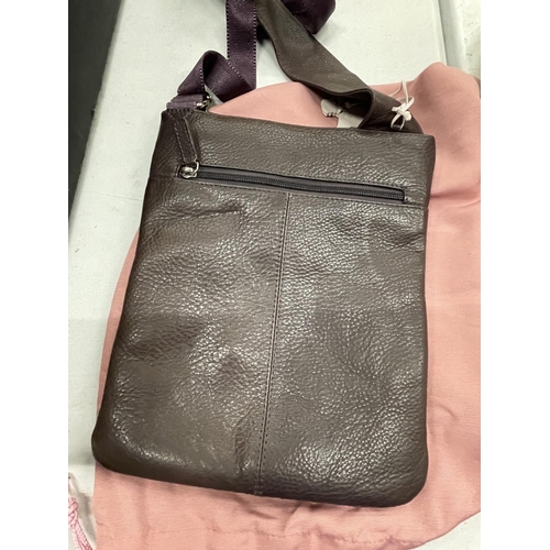 246A - A VINTAGE RADLEY HANDBAG WITH DUST BAG