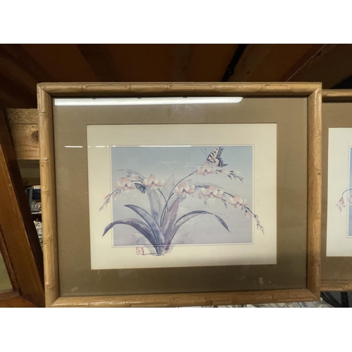 1083 - TWO FRAMED PRINTS OF FLOWERS AND BUTTERFLIES PLUS A RED INDIAN PRINT