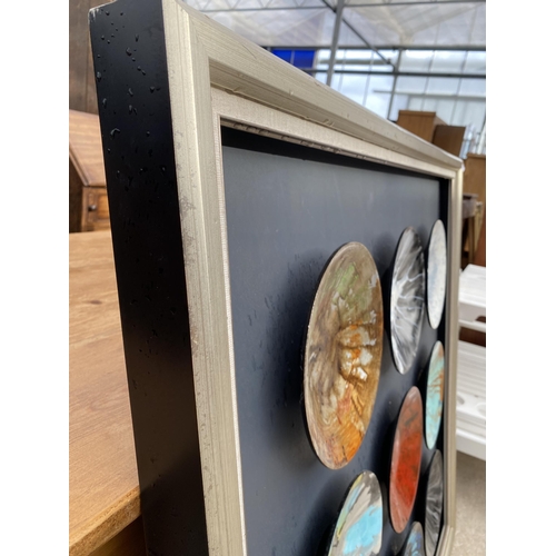 2702 - NINE ORNAMENTAL PLATES MOUNTED IN FRAME 42