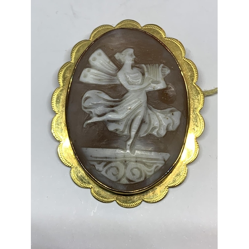 559 - A VICTORIAN CARVED CAMEO BROOCH SET IN 9CT YELLOW GOLD MOUNT, BOXED