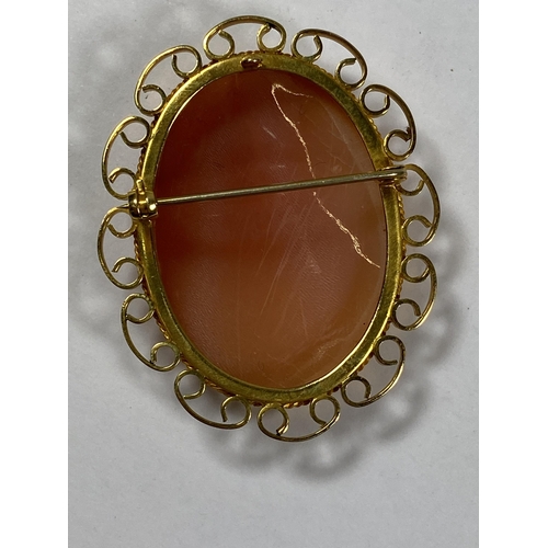 453 - A 9CT YELLOW GOLD CAMEO BROOCH DEPICTING A HORSES HEAD, LENGTH 5CM