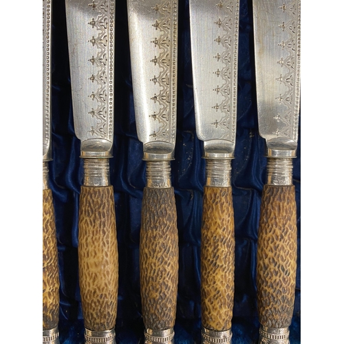 87 - A VINTAGE OAK CASED CANTEEN OF HORN HANDLED CUTLERY WITH HALLMARKED SILVER FERRULES