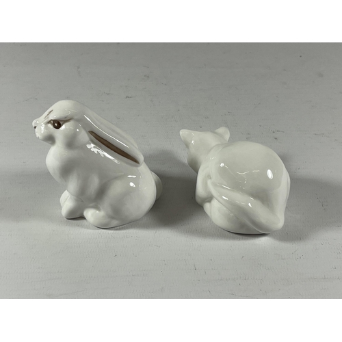 782 - TWO COALPORT WHITE RABBIT ANIMAL FIGURES