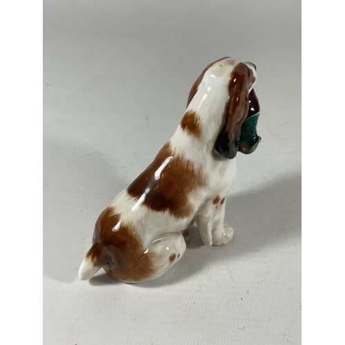 795 - A ROYAL DOULTON SPANIEL HOLDING PHEASANT DOG MODEL HN1029