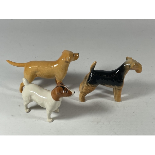 797 - THREE BESWICK DOG MODELS TO INCLUDE A TERRIER, JACK RUSSEL AND LABRADOR