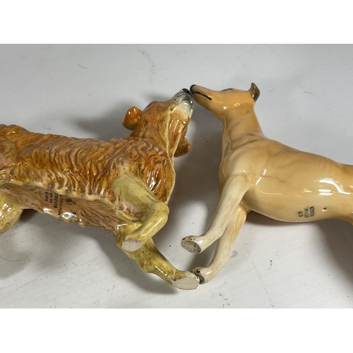 801 - A COLLECTION OF FIVE DOG FIGURES TO INCLUDE BESWICK JOVIAL ROGER, LOCHINVAR OF LADYPARK, DOULTON RET... 