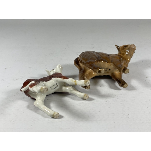 803 - TWO BESWICK CALF MODELS TO INCLUDE HIGHLAND EXAMPLE (ONE A/F)