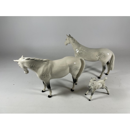 808 - A GROUP OF THREE BESWICK DAPPLE GREY HORSE MODELS