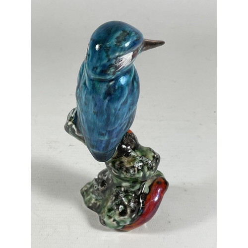 823 - AN ANITA HARRIS KINGFISHER FIGURE