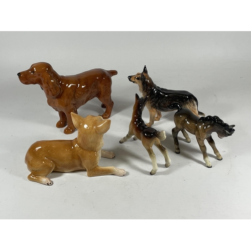 825 - A GROUP OF FIVE ANIMAL FIGURES TO INCLUDE BESWICK BROWN GLOSS COCKER SPANIEL ETC