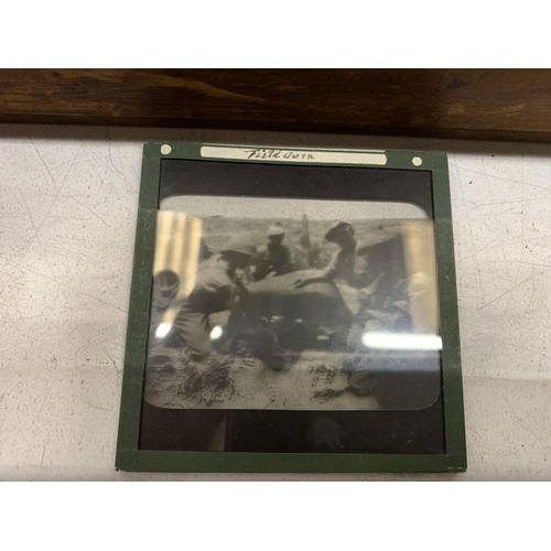 290 - TWO BOXES CONTAINING SIXTY-FOUR BLACK AND WHITE PHOTOGRAPHIC SLIDES RELATING TO THE BOER WAR