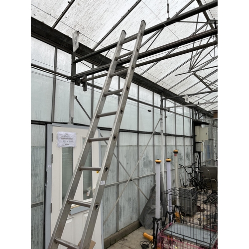 100A - AN ALUMINIUM TWELVE RUNG SINGLE LADDER  NO VAT