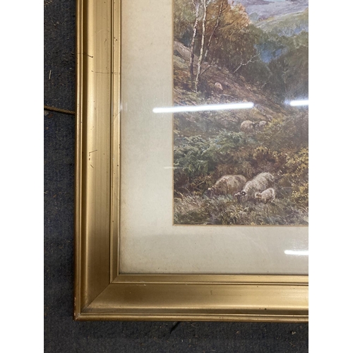 936 - A PAIR OF FRAMED WOODLAND PRINTS