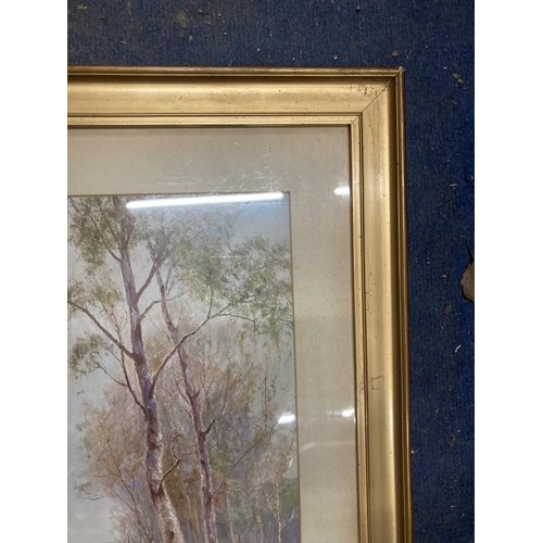 936 - A PAIR OF FRAMED WOODLAND PRINTS