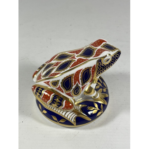 818 - A ROYAL CROWN DERBY IMARI FROG PAPERWEIGHT, NO STOPPER