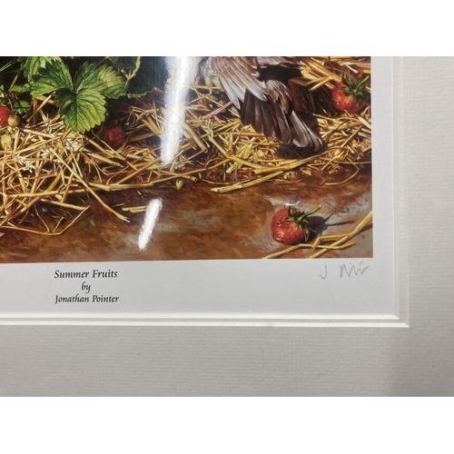 1080A - A FRAMED SIGNED LIMITED EDITION PRINT 'SUMMER FRUITS' 4/195 BY JONATHAN POINTER