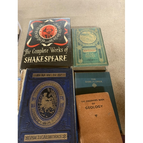 1180 - VARIOUS VINTAGE BOOKS TO INCLUDE GEOLOGY, SHAKESPEARE ETC