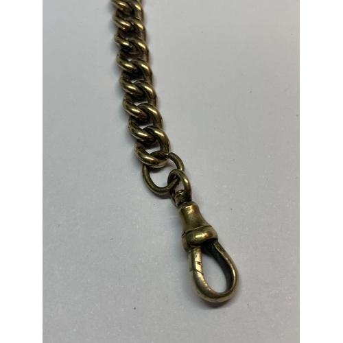 586 - A GOLD PLATED DOUBLE ALBERT WATCH CHAIN