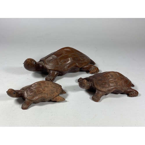 437 - A FAMILY OF THREE CHINESE CARVED WOODEN TORTOISE FIGURES