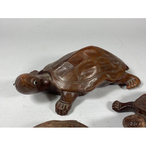 437 - A FAMILY OF THREE CHINESE CARVED WOODEN TORTOISE FIGURES