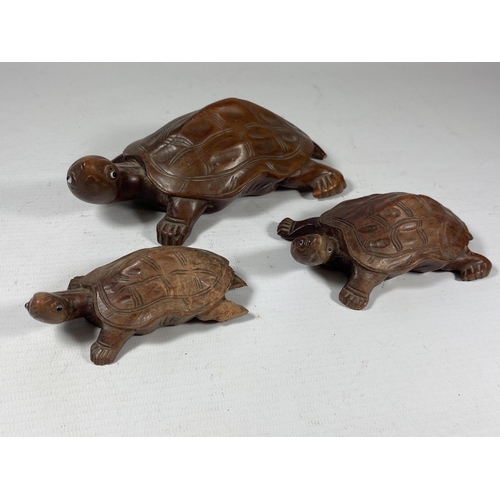 437 - A FAMILY OF THREE CHINESE CARVED WOODEN TORTOISE FIGURES