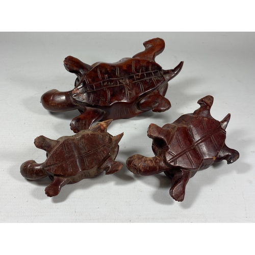 437 - A FAMILY OF THREE CHINESE CARVED WOODEN TORTOISE FIGURES