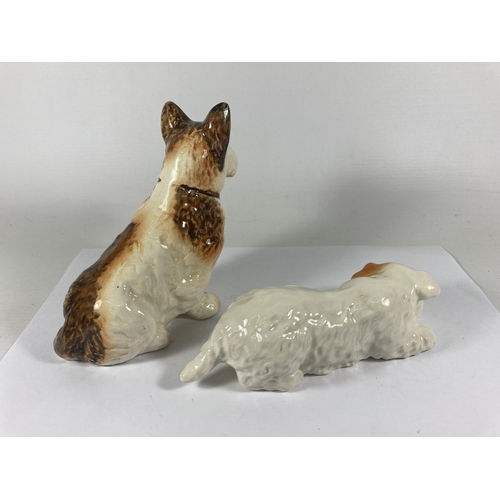 729 - TWO DOG FIGURES TO INCLUDE A BESWICK AND A SYLVAC