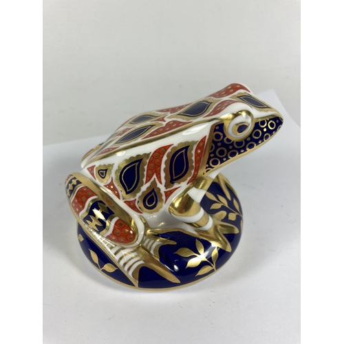 738 - A ROYAL CROWN DERBY IMARI FROG PAPERWEIGHT, NO STOPPER