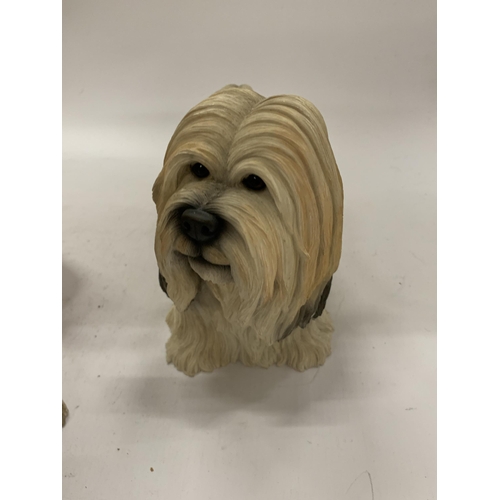 144 - TWO LARGE DOG FIGURES BY LEONARDO, A STAFFORDSHIRE BULL TERRIER HEIGHT 34CM AND A LHASA APSO HEIGHT ... 