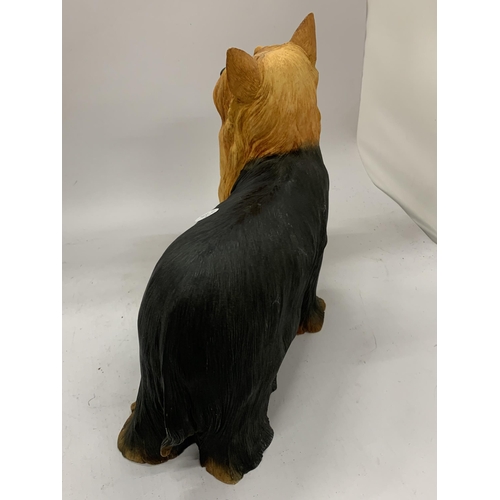 151 - A BORDER FINE ARTS FIRESIDE YORKSHIRE TERRIER DOG HEIGHT 26CM