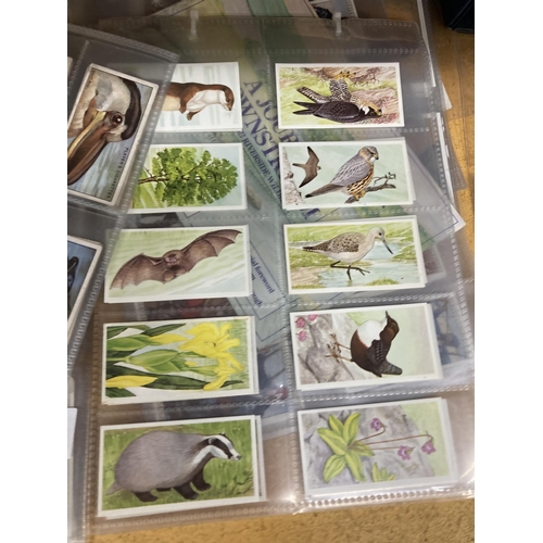 953 - A VERY LARGE COLLECTION OF VINTAGE CIGARETTE CARDS RANGING FROM THE EARLY 1900'S TO INCLUDE A CARD C... 