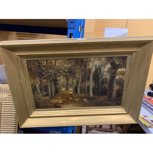 100 - A GILT FRAMED OIL PAINTING OF SHEEP IN A FOREST LANDSCAPE, SIGNED J.MORRIS, 47 X 68CM